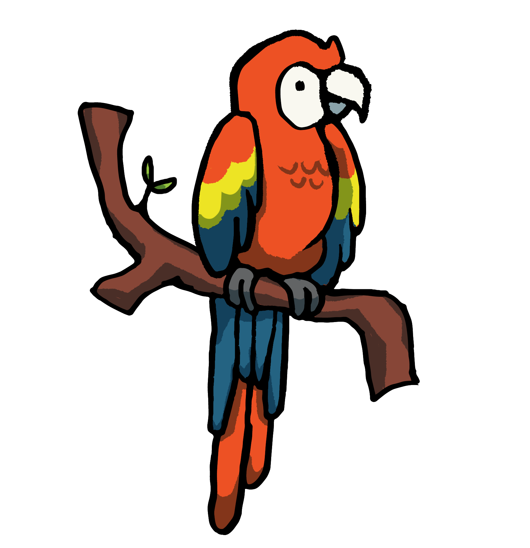 drawing of a scarlet macaw perched on a branch with a sprout